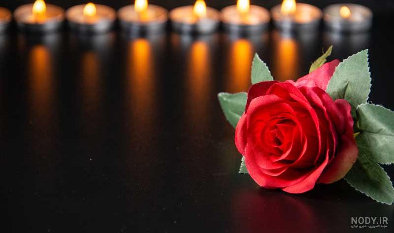 دانلود عکس شمع و گل و پروانه