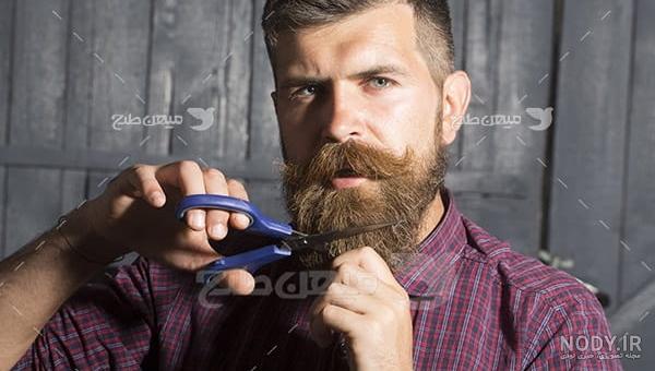 ریش پروفسوری نشانه چیست