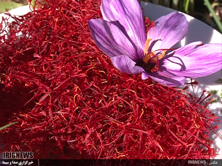 زعفران قائنات دیجی کالا زعفران قائنات دیجی کالا