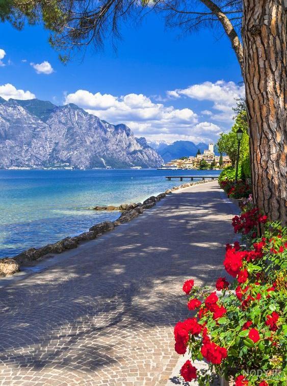 زیباترین عکسهای طبیعت