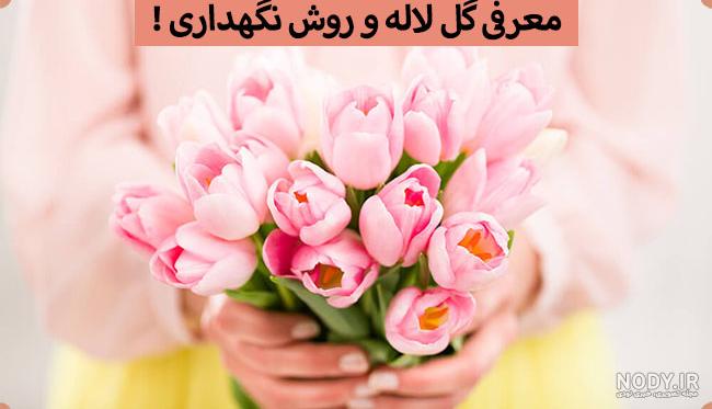 سریال عمر گل لاله دوبله فارسی