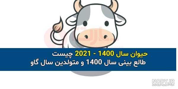 طرح گاو طرح گاو