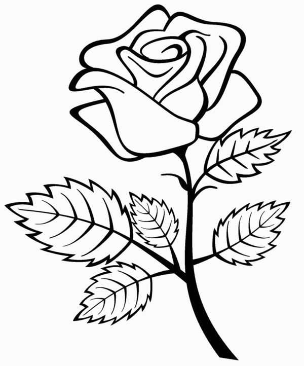 طرح گل ساده برای نقاشی