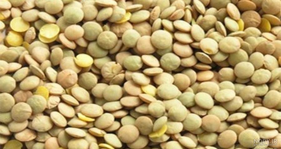 طرز تهیه لپه در خانه طرز تهیه لپه در خانه