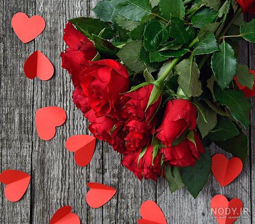 عکس از گلهای زیبا جدید