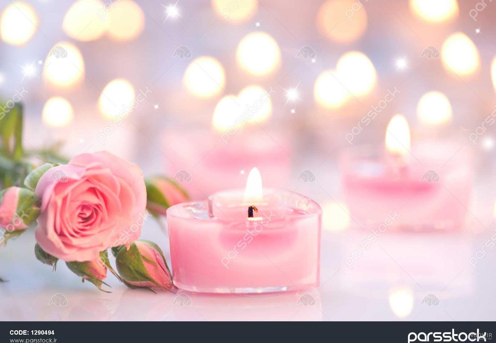 عکس دختر با گل رز مشکی