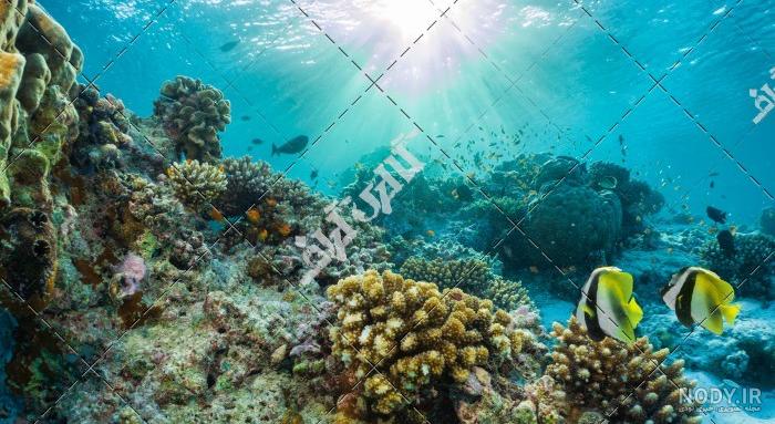 عکس دریا عمق عکس دریا عمق