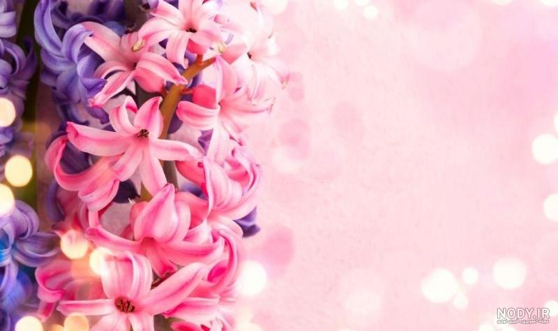 عکس سفید برای نوشتن متن عکس سفید برای نوشتن متن