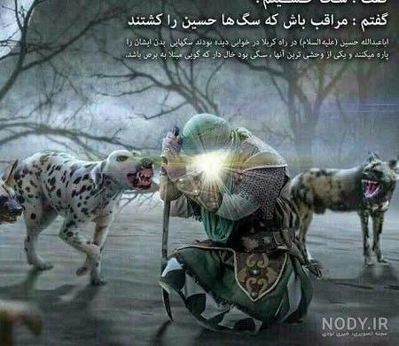 عکس سگ حسین