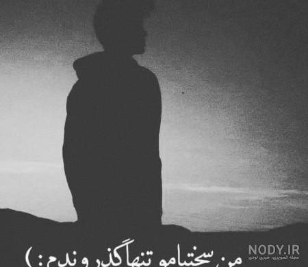 عکس سیاه سفید شاخ