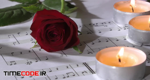 عکس شمع و پروانه زیبا