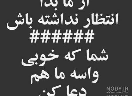 عکس لاتی شاخ