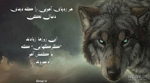عکس نوشته گرگ صفتی