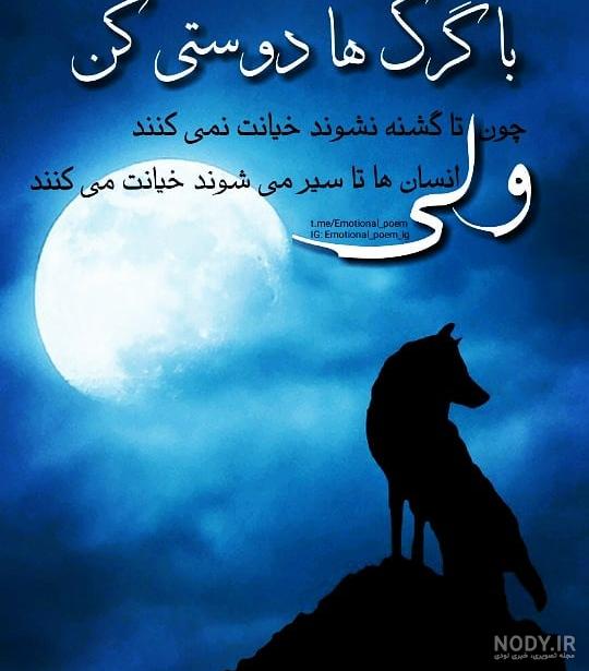 عکس نوشته گرگ غمگین عکس نوشته گرگ غمگین