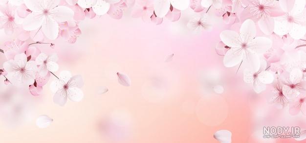 عکس پروفایل گل عاشقانه عکس پروفایل گل عاشقانه