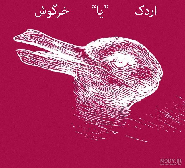 عکس چالش دوست شناسی عکس چالش دوست شناسی