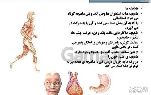 عکس کتاب علوم پنجم عکس کتاب علوم پنجم