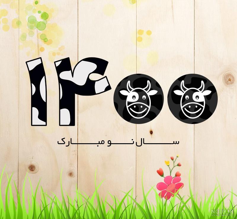 عکس گاو بامزه عکس گاو بامزه