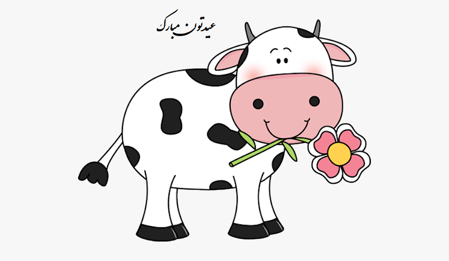 عکس گاو خنده دار عکس گاو خنده دار