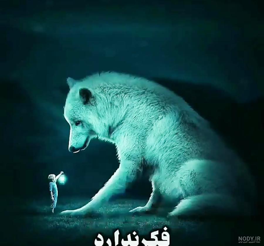 عکس گرگ واقعی عکس گرگ واقعی