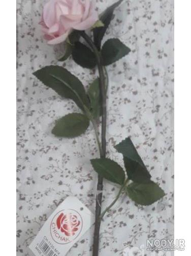 عکس گل در دست دختر برای پروفایل