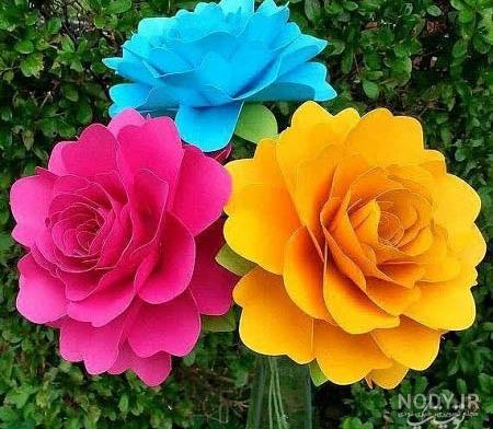 عکس گل رز زرد