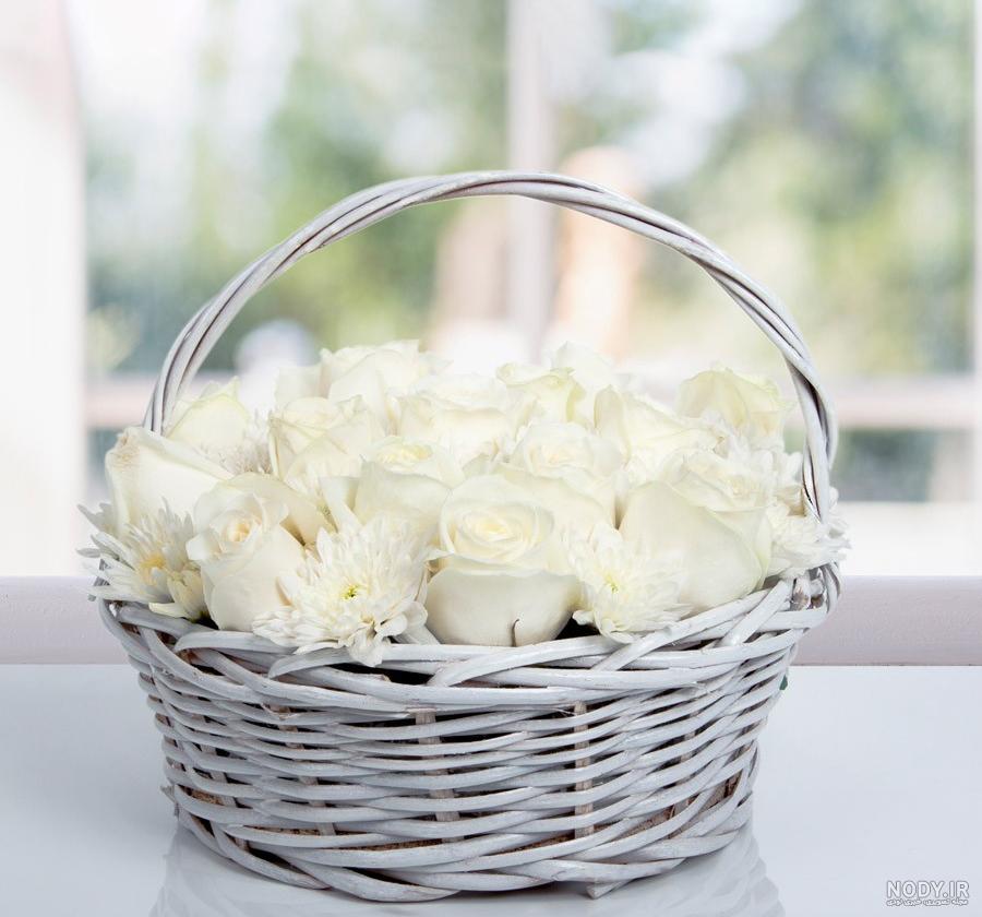 عکس گل رز سفید برای پروفایل