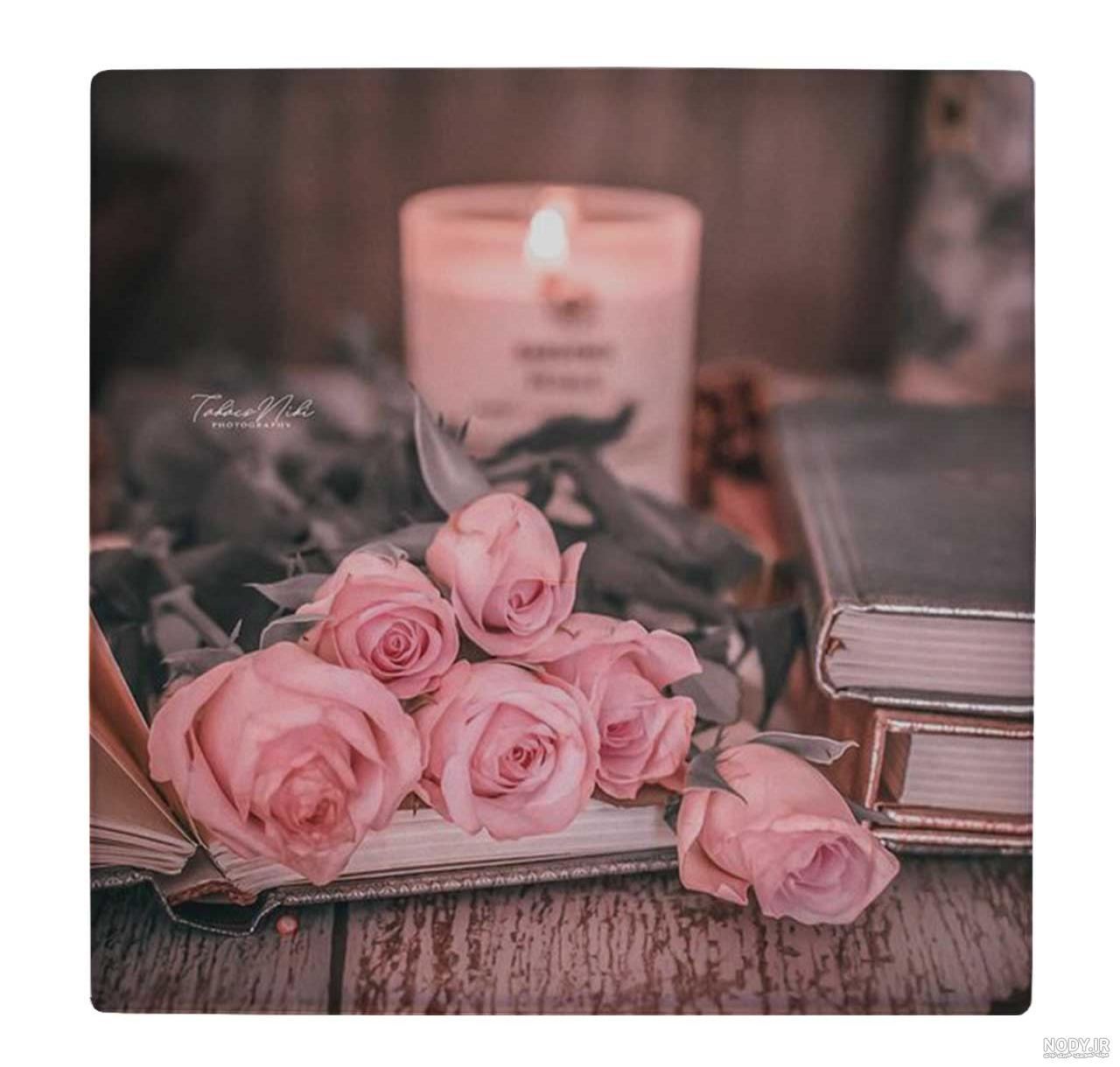 عکس گل رز مشکی برای پروفایل