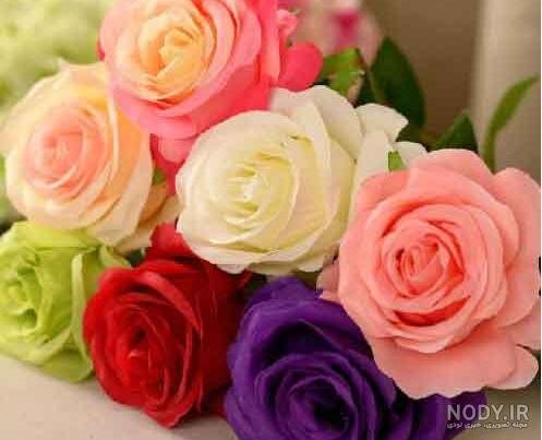 عکس گل طبیعی عکس گل طبیعی