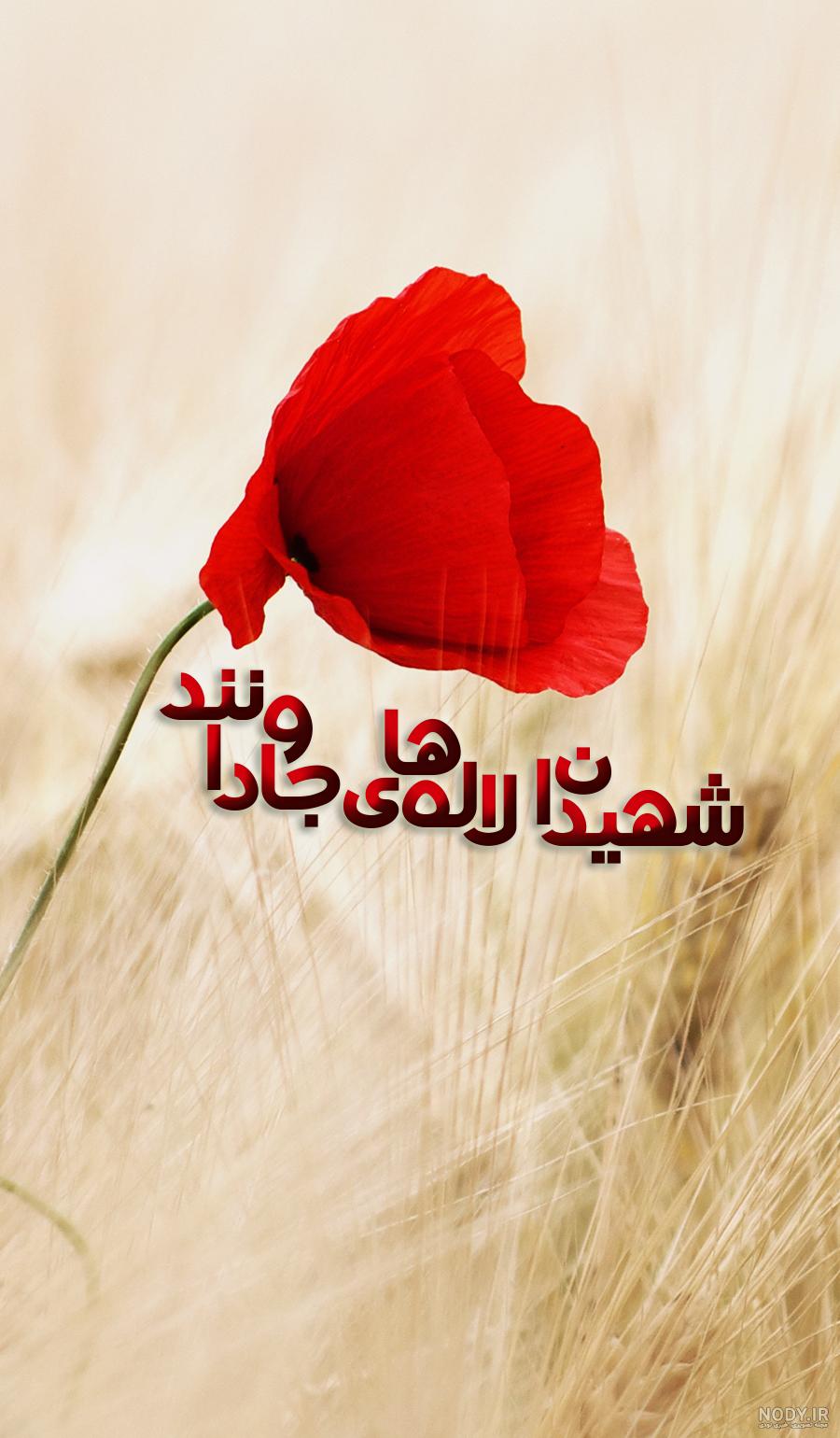 عکس گل لاله شهیدان عکس گل لاله شهیدان