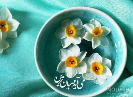 عکس گل نرگس با نوشته