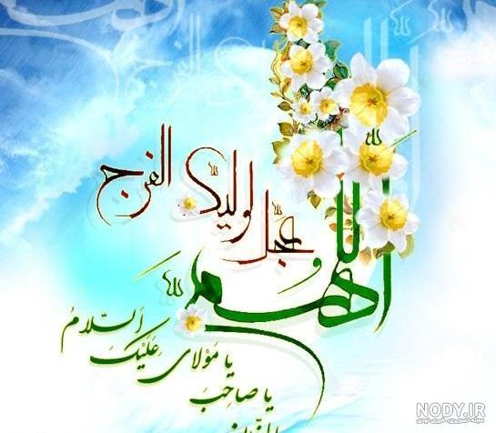 عکس گل نرگس در باران