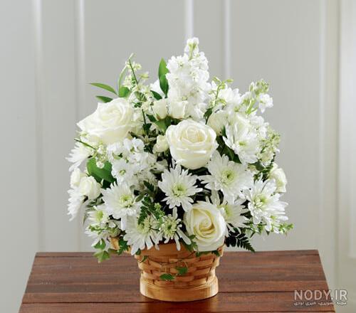 عکس گل های رز سفید