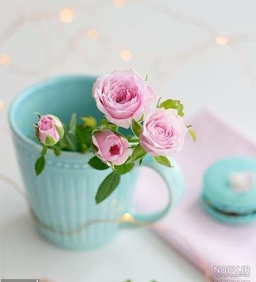 عکس گل های زیبا و جدید