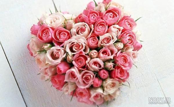 عکس گلهای بسیار زیبای جهان عکس گلهای بسیار زیبای جهان