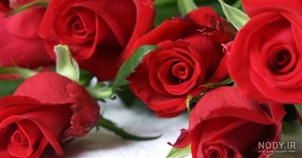 عکسهای زیبای گلها برای پروفایل عکسهای زیبای گلها برای پروفایل