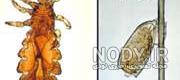 عکسهای عجیب و ترسناک عکسهای عجیب و ترسناک
