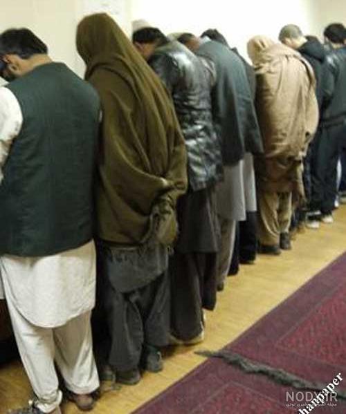 فرخنده دختر شهید افغان