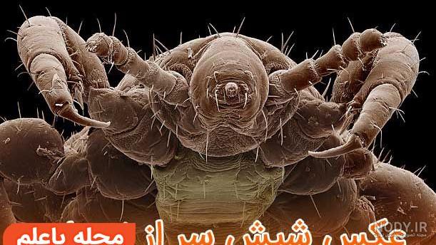 فیلم ترسناک فیلم ترسناک