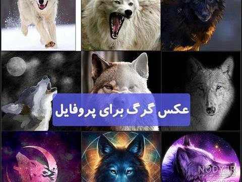 فیلم گرگ نما 2020