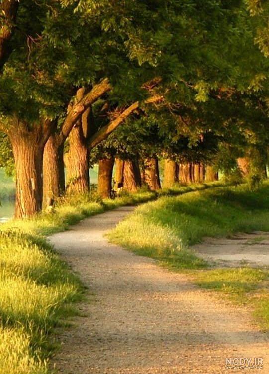 منظره های زیبا