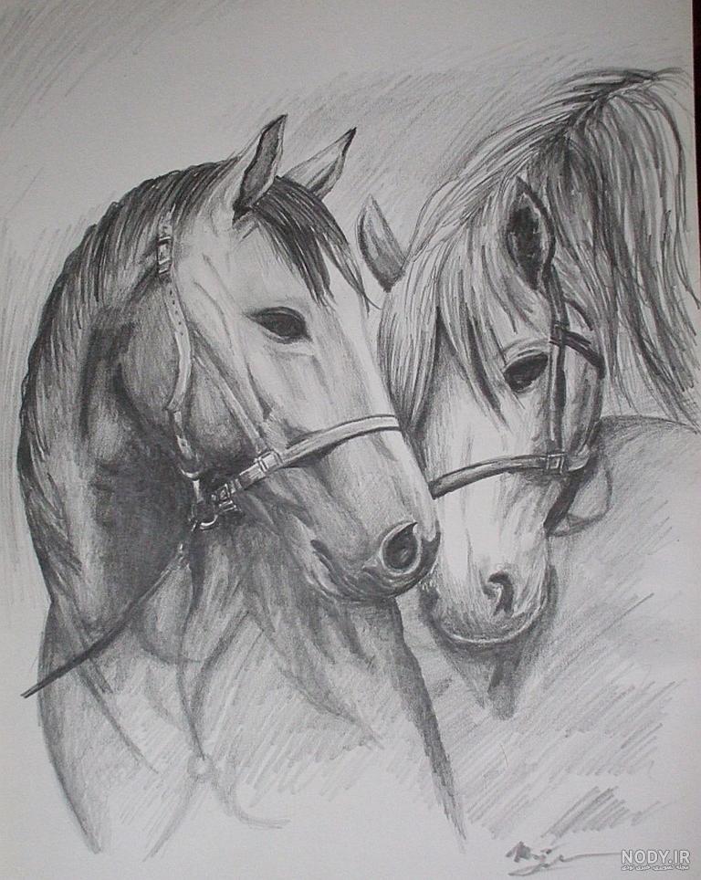 نقاشی اسب سخت