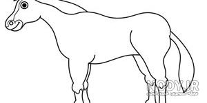 نقاشی سر اسب ساده