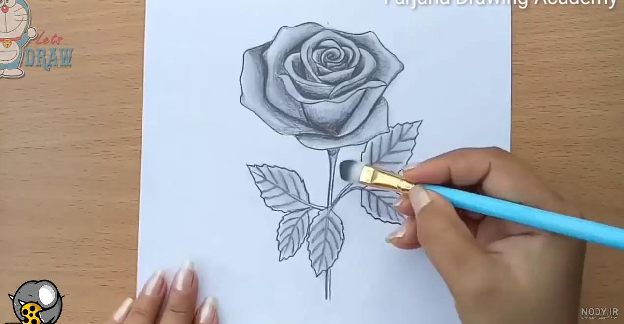 نقاشی غنچه گل رز