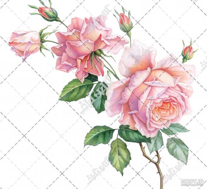 نقاشی گل زیبا و ساده