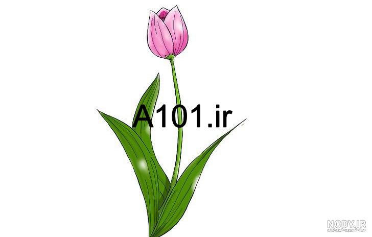 نقاشی گل ساده نقاشی گل ساده
