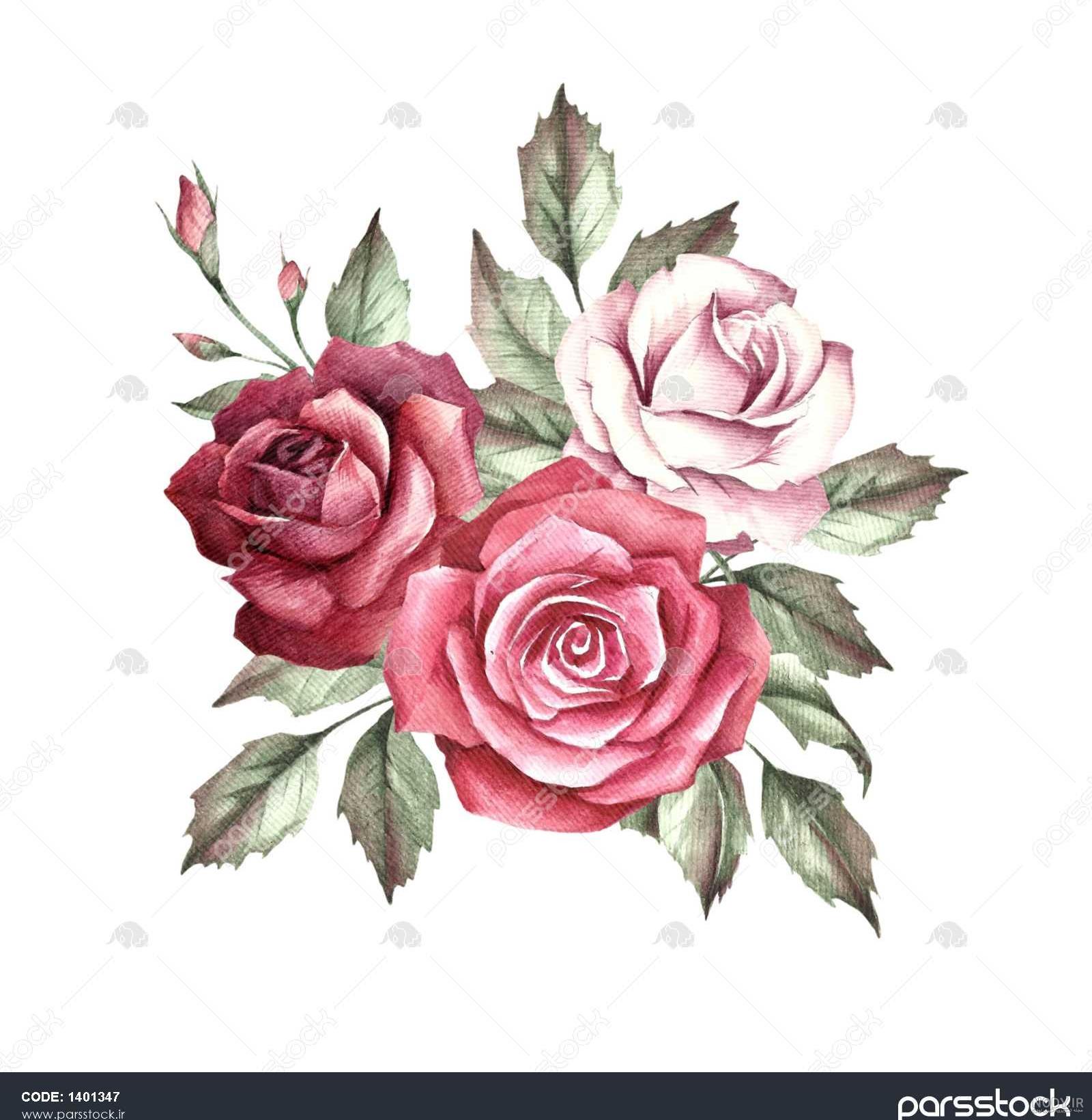 نقاشی گل نرگس