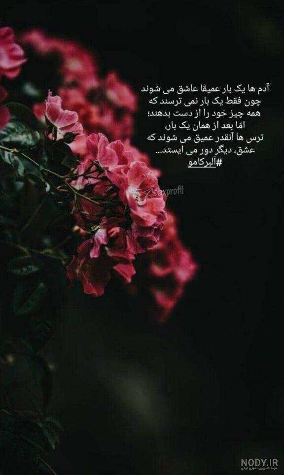کلیپ برای استوری اینستا جدید