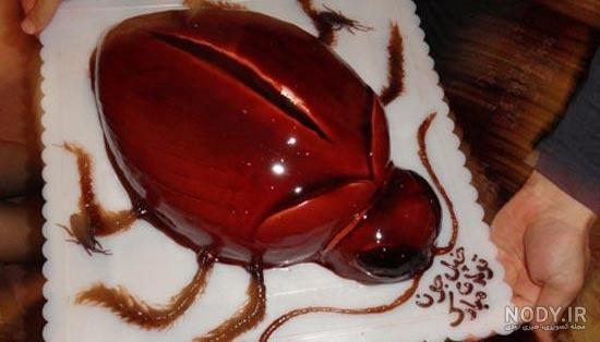 کیک خنده دار روز معلم