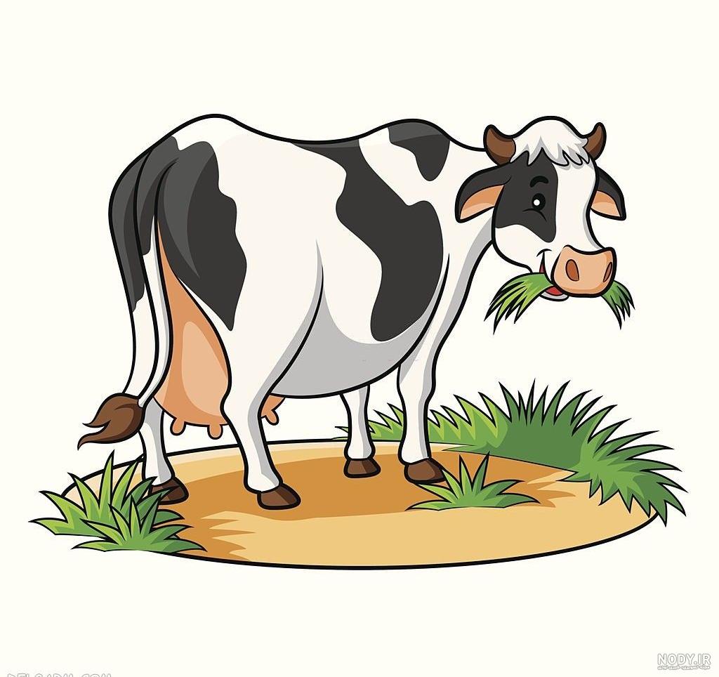 گاو شیری گونه نماینده